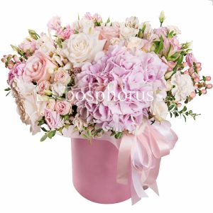 Cermeno Arrangement