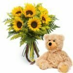 sunflowers-teddybear